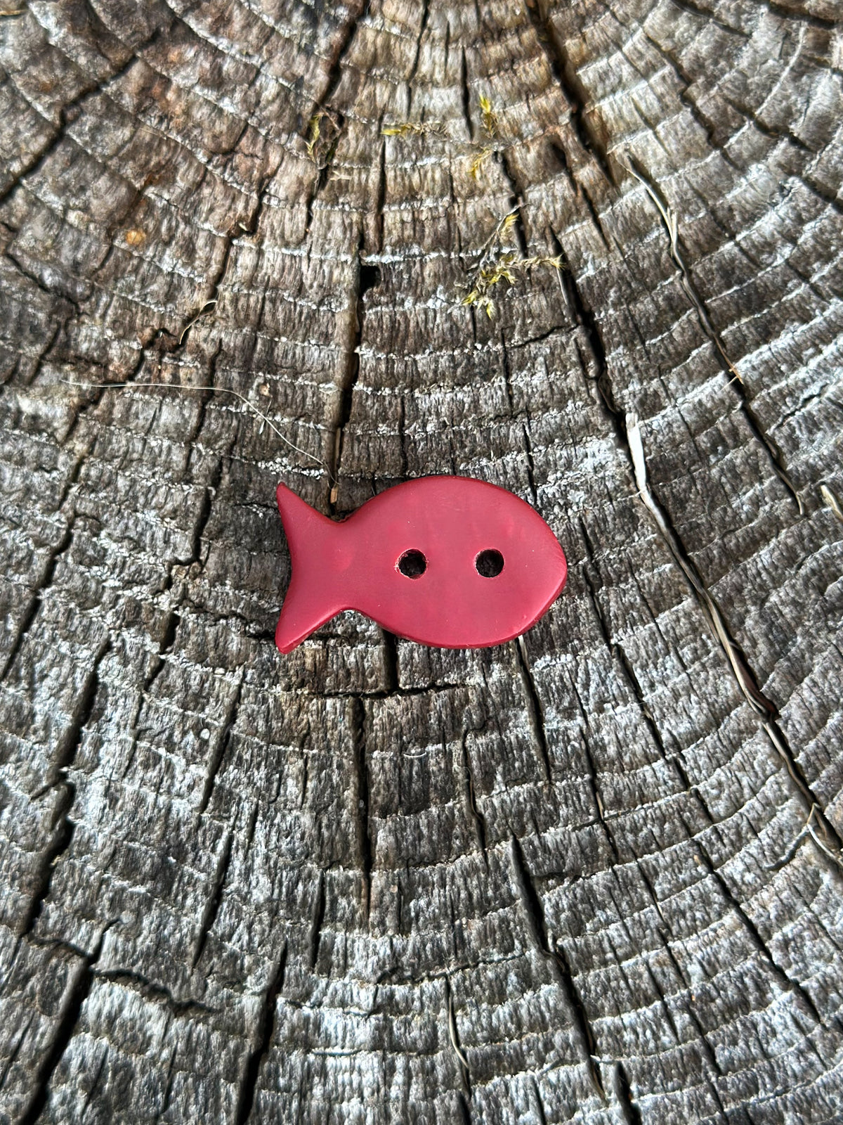 FISH Buttons (PREORDER!)