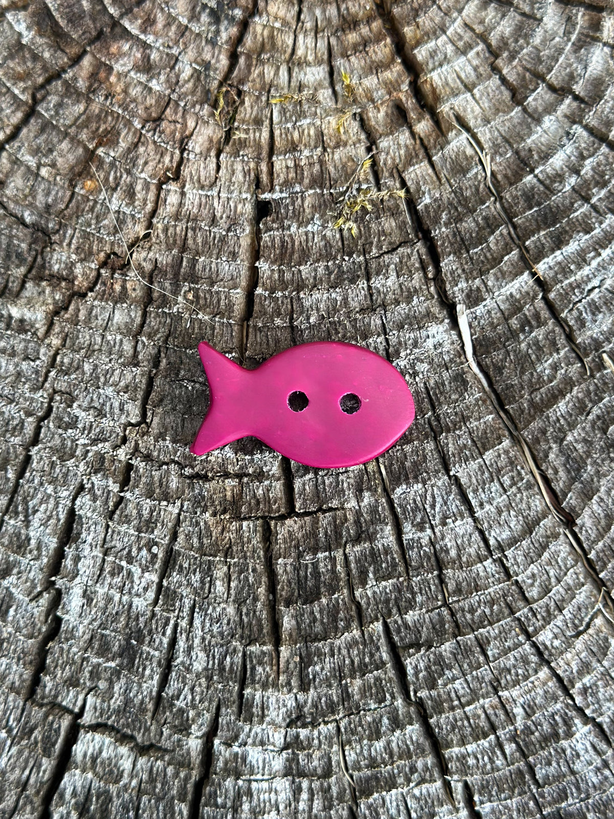 FISH Buttons (PREORDER!)