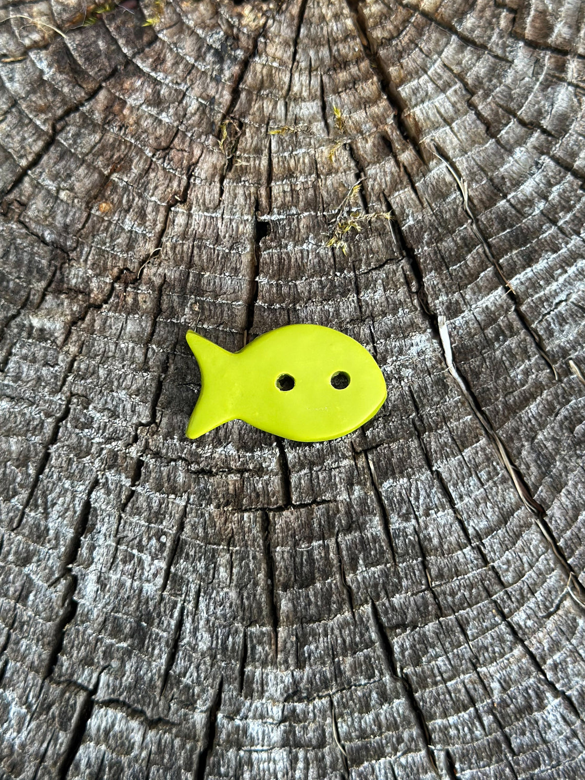 FISH Buttons (PREORDER!)